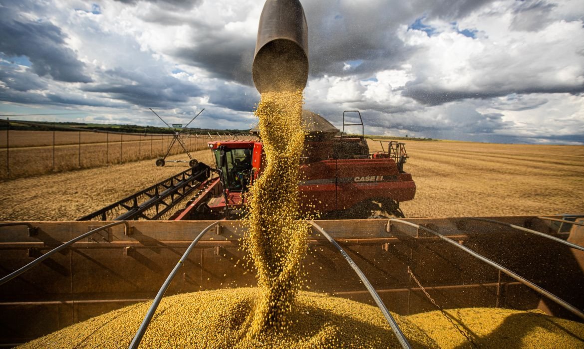 Queda dos preços dos alimentos deve continuar, afirma ministro da Agricultura Familiar - Imagem do artigo original