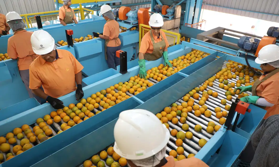 Exportações brasileiras sujeitas ao “tarifaço” dos EUA recuam 22% em agosto - Imagem do artigo original