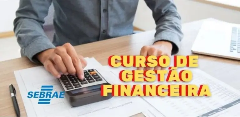 Sebrae lança curso gratuito de gestão financeira para pequenos negócios - Imagem do artigo original