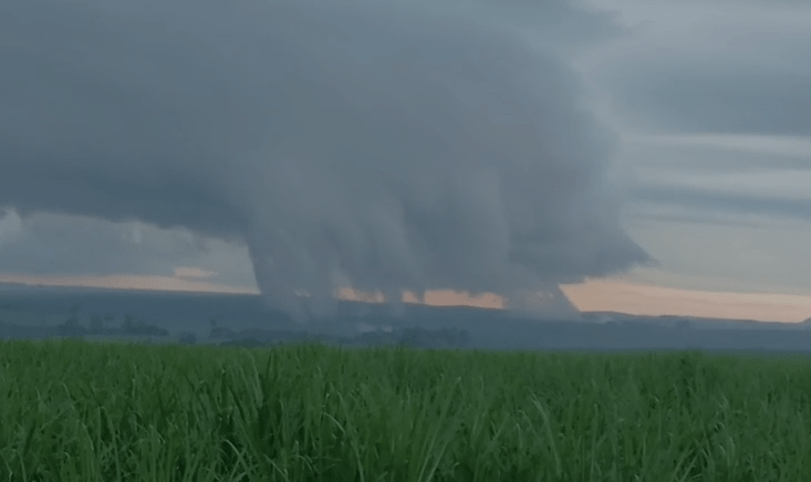 Tornado do tipo landspout é registrado na zona rural de Oscar Bressane (SP) - Imagem do artigo original