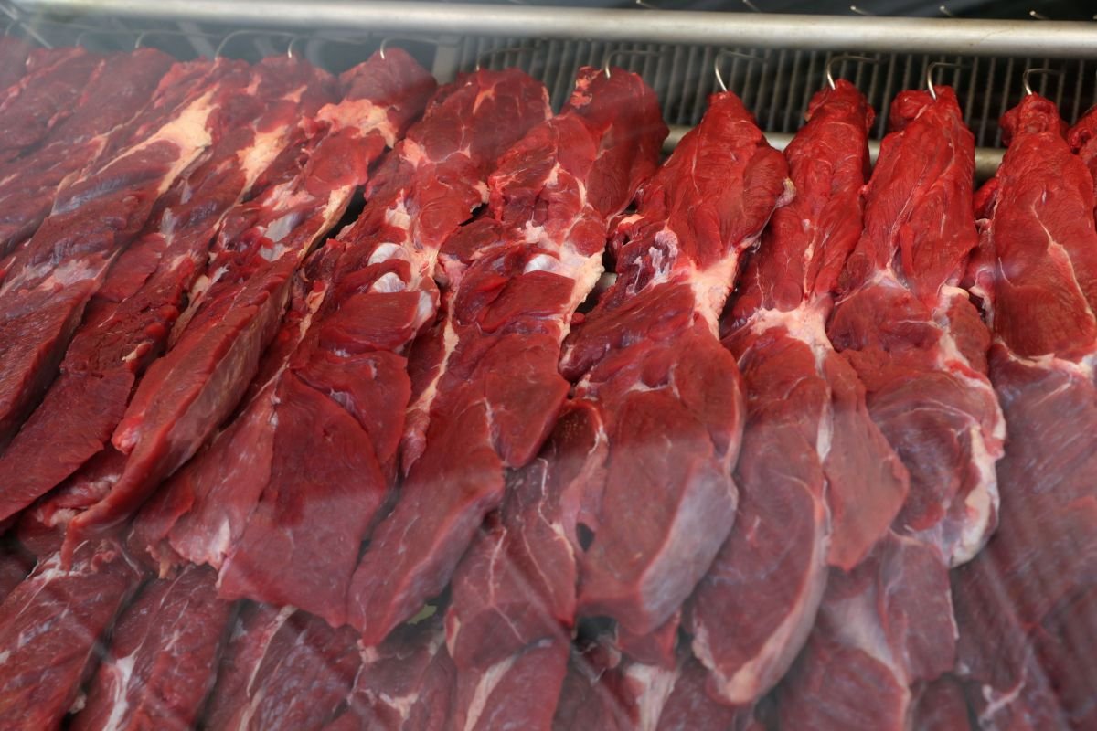 Abiec projeta estabilidade nas exportações brasileiras de carne bovina em 2026 - Imagem do artigo original