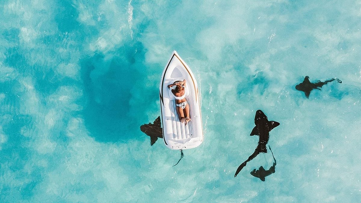 Viagens: estudo mostra que 68% dos turistas trocam programas de fidelidade por ofertas melhores - Imagem do artigo original