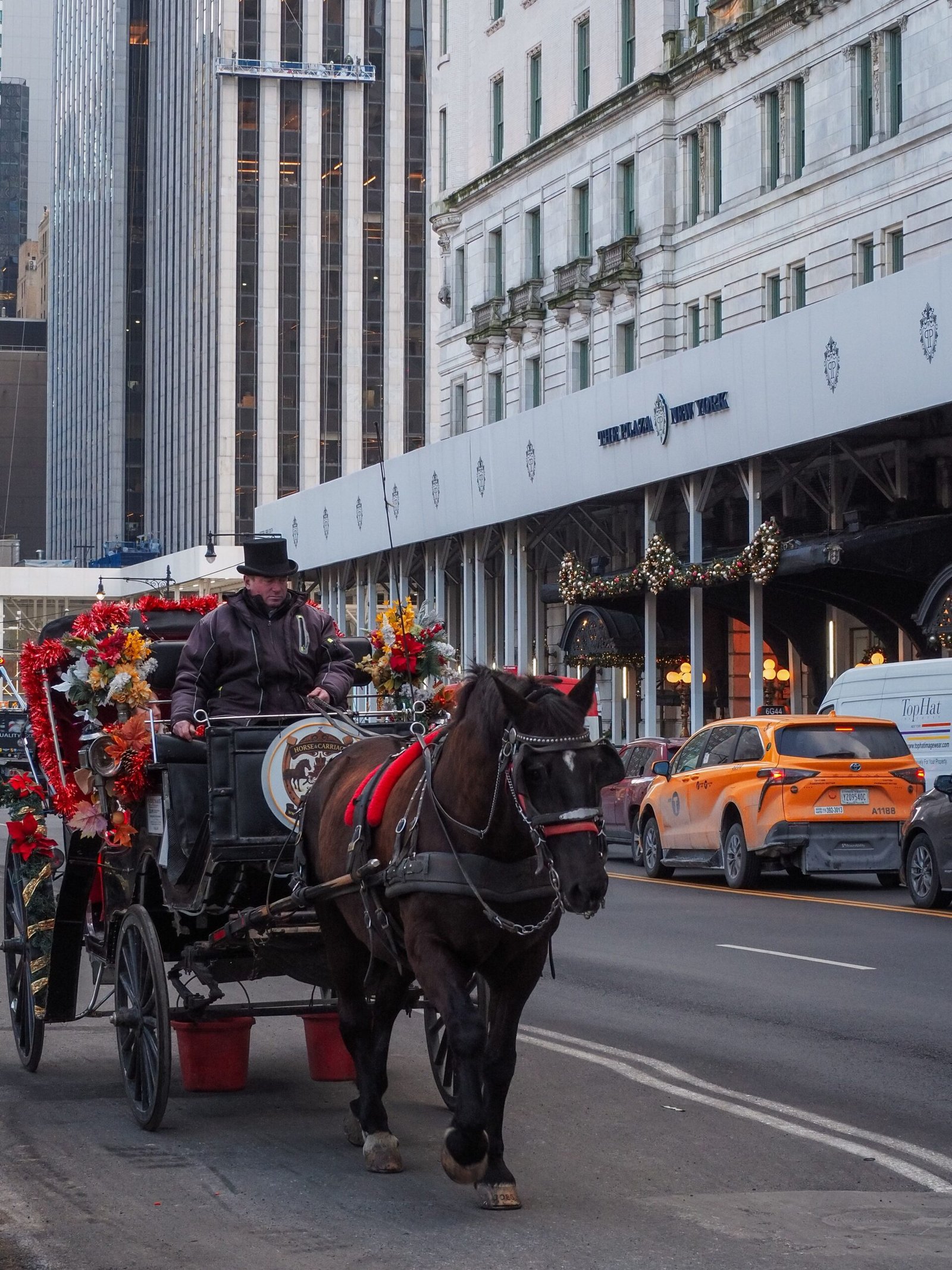 Nova York define prazo para encerrar carruagens no Central Park após 224 anos de operação - Imagem do artigo original